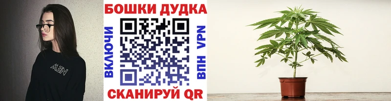 Марихуана планчик  МЕГА   Нижний Новгород 
